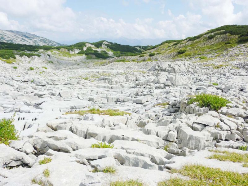 Oberstdorf, Unterkunft, Ferienwohnung, Wanderung, Wandern