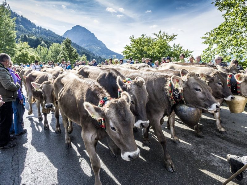 Oberstdorf-Veranstaltungen (1)